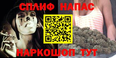a pvp Белореченск