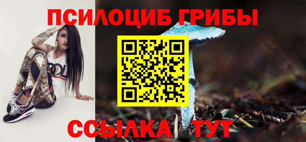 Псилоцибиновые грибы прущие грибы Королёв