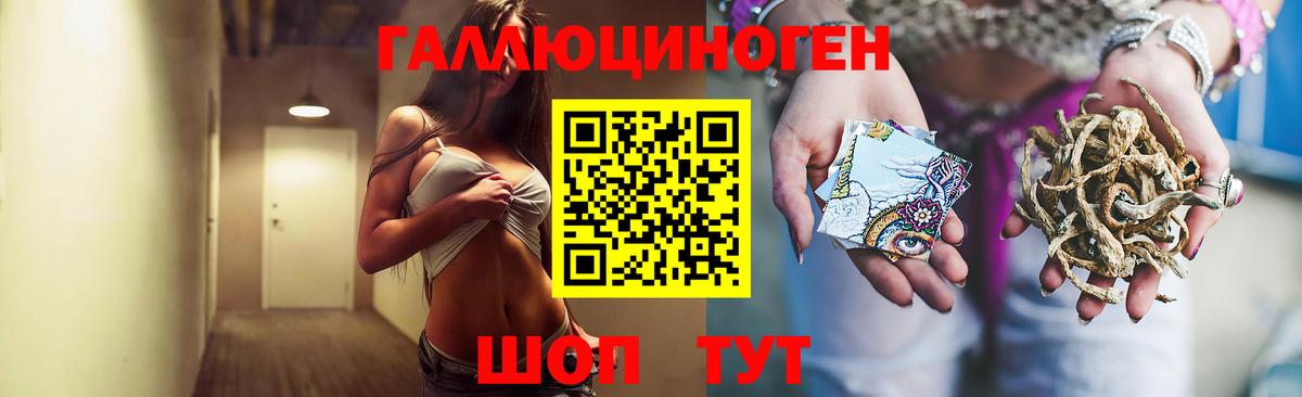 Псилоцибиновые грибы мицелий  Вход с VPN  купить   Королёв 